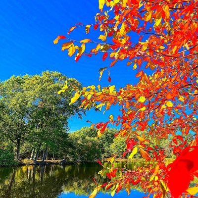 therick4444's profile picture. Dad. Husband. Yankees. Baseball. Treat others how you want to be treated. Loyalty. Honor. Respect. Positivity. Help those that need it 🇺🇸