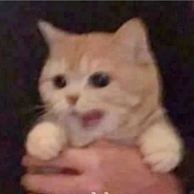 Erehh26's profile picture. Nothing