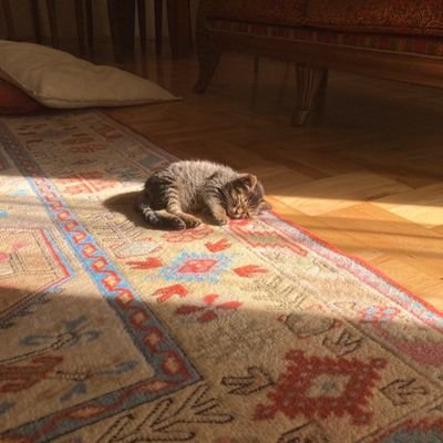 HaderiumMe's profile picture. Allhamdullia