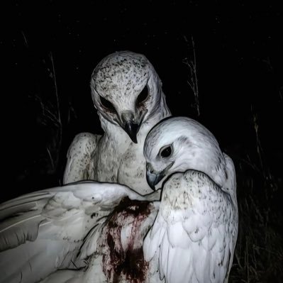 lhddkjw's profile picture. 
