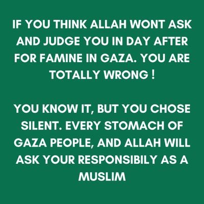 SafeCyber24's profile picture. 