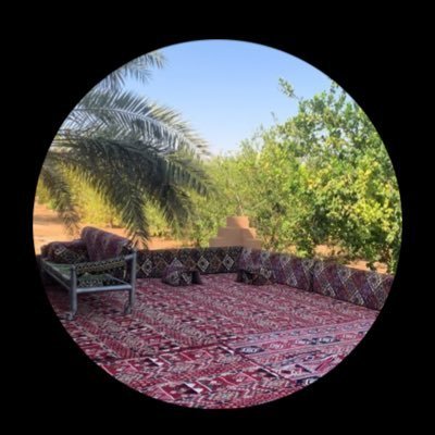 bwl128221's profile picture. 