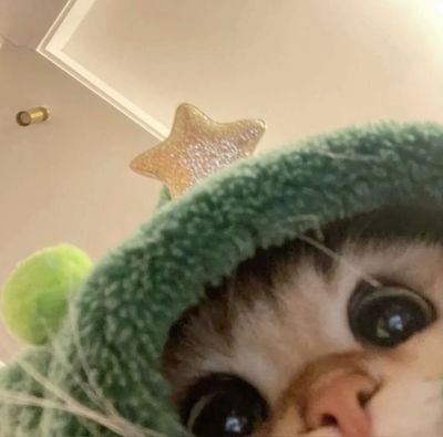 itsalynxcat's profile picture. 