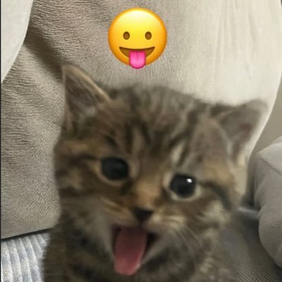 fayeriee's profile picture. arte ih