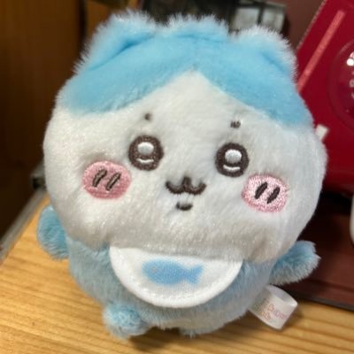 pavilioncat~cute things is my medicineさんのプロフィール画像