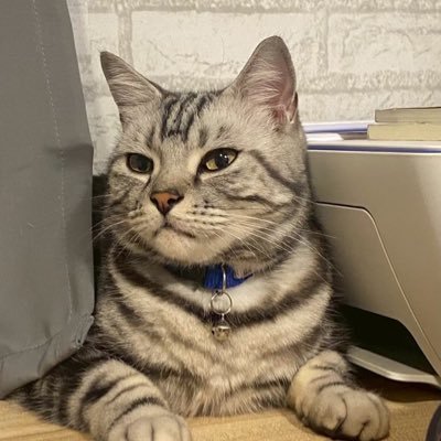 btha_ra81664's profile picture. รับทำงานบ้าน ราคาไม่แรง ราคานักเรียนนักศึกษา
มีเคดิต ทักมาได้เลยย