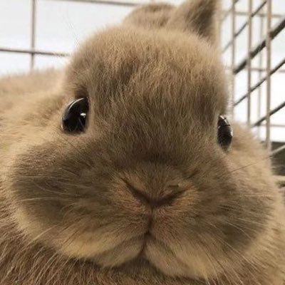 jerenbon's profile picture. the time will pass anyways