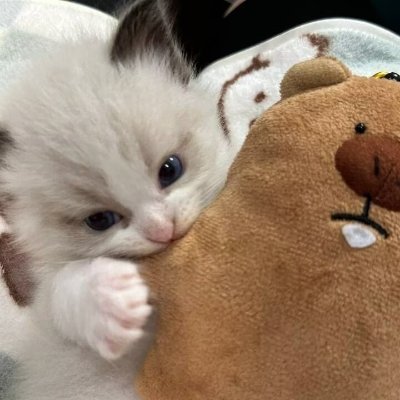 Arknigh56807073's profile picture. 活在每一个感到幸福的瞬间.