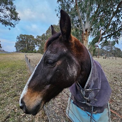 aufarmlife's profile picture. 