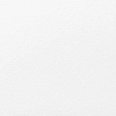 Shaydailytweets's profile picture. Ms.Brat