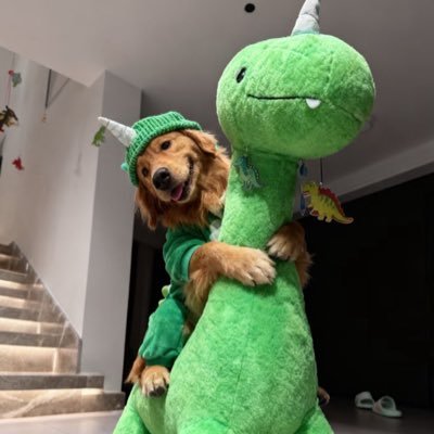 𝑰𝒃𝒆𝒃𝑼 🐾さんのプロフィール画像