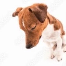 capicarter's profile picture. I comment on tennis but with hypocrisy ✨