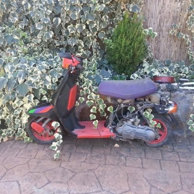 KariPinceladas's profile picture. No DM