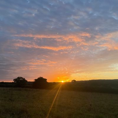 gampopah's profile picture. 