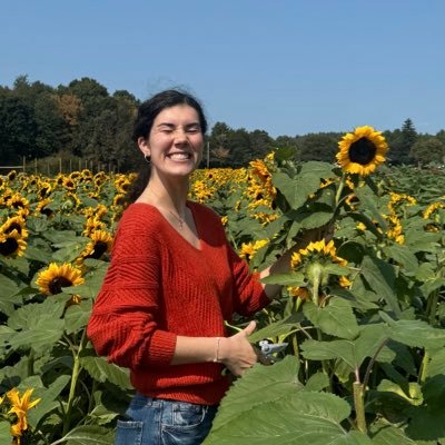 chronicnovice's profile picture. 