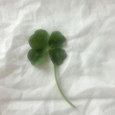 s2__rlly's profile picture. 