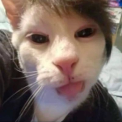 tianshibby's profile picture. :P