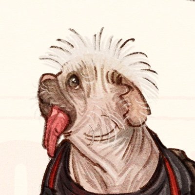 小堀礼助 Obori Reisukeさんのプロフィール画像