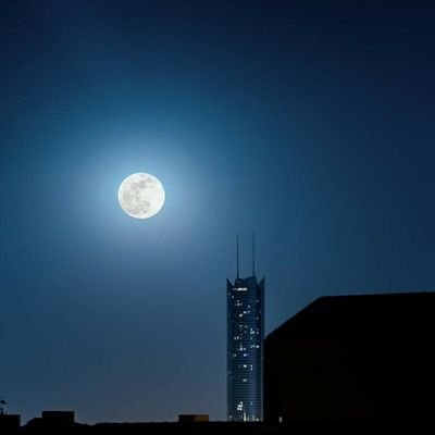oicomiuo's profile picture. 