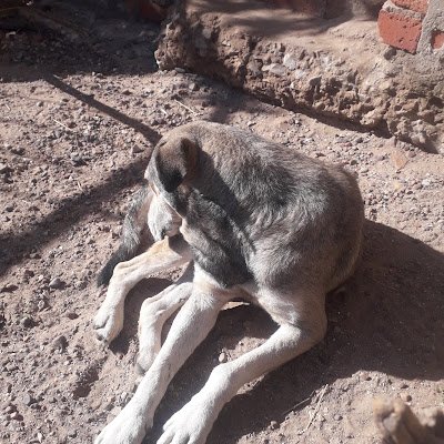 EliphaceMk60419's profile picture.