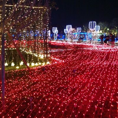 efHS0McKCP68036's profile picture. 旦那が女作って出ていきました。悲しくて辛くてやり切れなくて一人で抱えきれないので愚痴り垢作りました。無言フォロー失礼します🙇‍♀️
同じような経験のある方話し相手になってください。
40代
       #不倫   #浮気   #離婚    #サレ妻    #借金