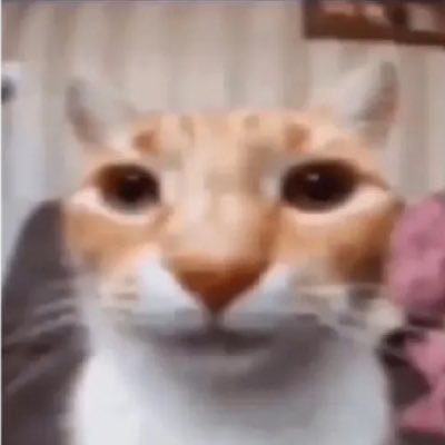 lmrqsslv's profile picture. 