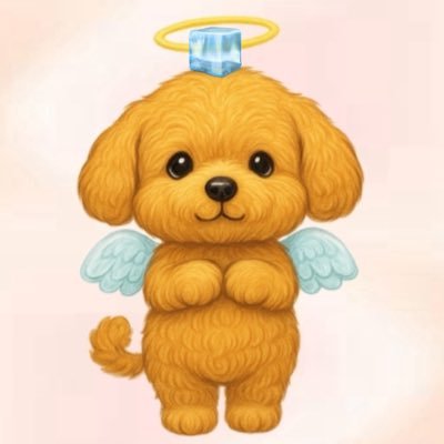 poodle1500's profile picture. 