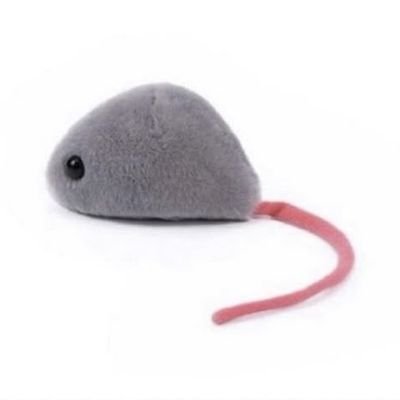 RATS_GANG3's profile picture. 