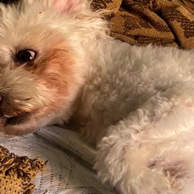 isabetter2's profile picture. a gente quer gozar também