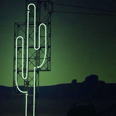 dcchidera's profile picture. Cool the clothing brand. brand owner: @mesutnigeria