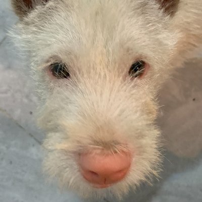 riippuvaisesti's profile picture. HAVEFUN