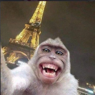100DOLLARMEME's profile picture. The only coin that dreams of being worth $100. Will it make it? Probably not. But it’s a meme, so who cares?