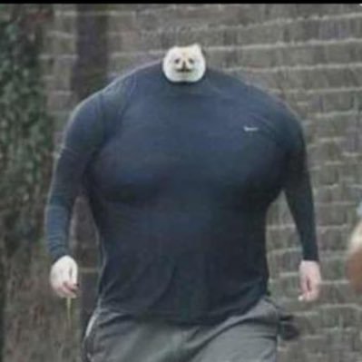 西やんさんのプロフィール画像