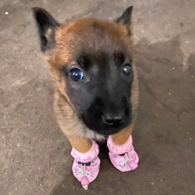livedoolu's profile picture. 