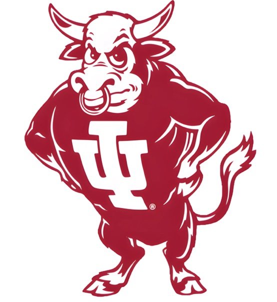 IndyBison's profile picture. 