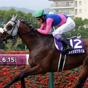 Yuno_Yutaka's profile picture. #武豊 #三浦皇成 #御神本訓史 スーパースター✩世界のYutaka Take💫豊さんがNo. 1🏆皇成と御神本も好き🏆フォローよろしくお願いします👍