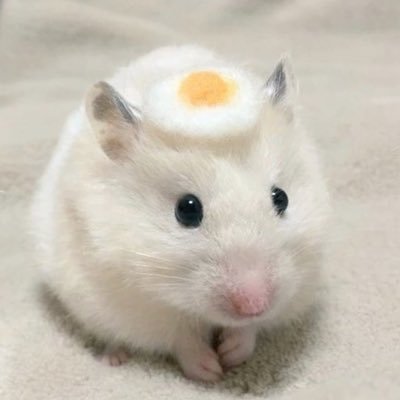 @babybefy