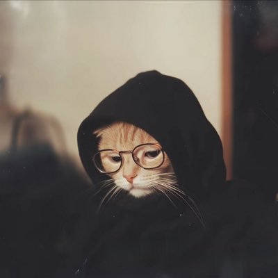 tmk4rever's profile picture. 