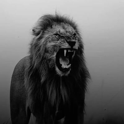 KumarShanuJha2's profile picture. BPSC TRE Candidate (6 To 12 )