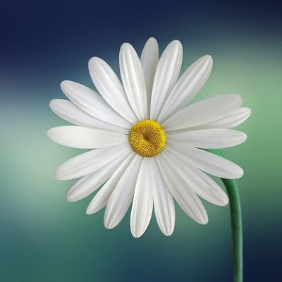 4chhy84546's profile picture. Reddio