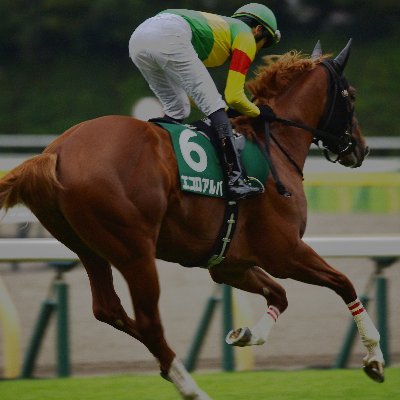 sinnnnnn1991's profile picture. 最近写真を撮り始めました！主に野球選手と競走馬を撮影しています！