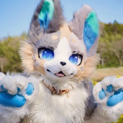 SMUSG_'s profile picture. 