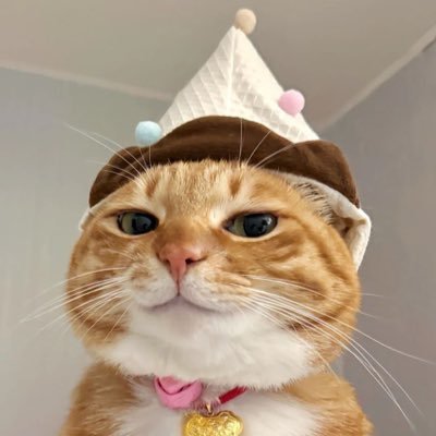 firefly7o's profile picture. paintings, illustrations & visdev 🐈