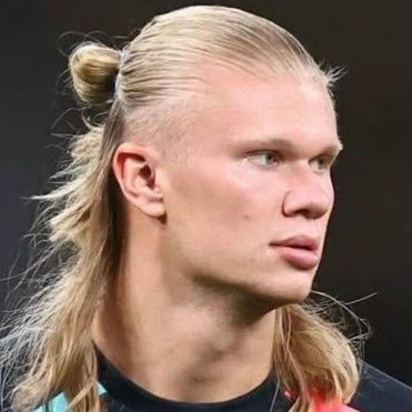 erlingsznn's profile picture. @mancity •fan account