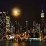 MilanedenW78689's profile picture. ガジェット・旅行ブログ運営｜フォトマスター準一級