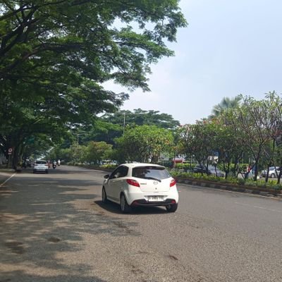 aktapeace's profile picture. Bertahan dan terus hidup !
#ynwa