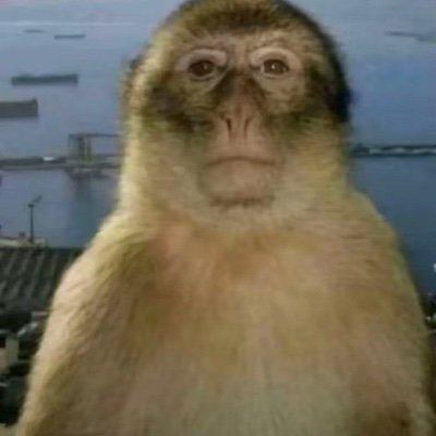 prnwhy's profile picture. 21M