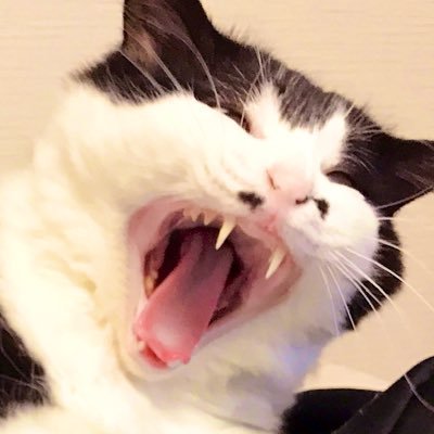 奇奇怪怪さんのプロフィール画像