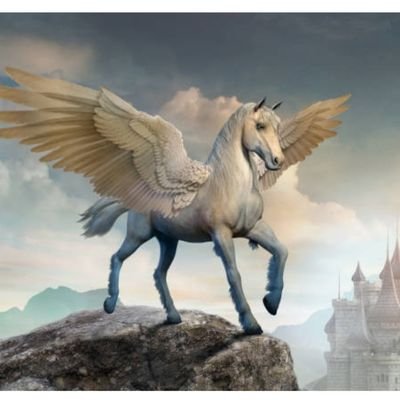 TourAmadouLami1's profile picture. SBT20 en démarrage besoin de soutien.