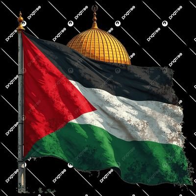 A2ZJR's profile picture. A human, first & foremost.  Lover of peace.🇵🇸🍉🇵🇰